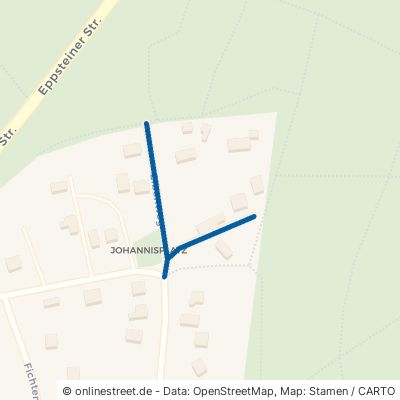 Eibenweg 65779 Kelkheim Fischbach 