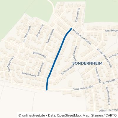 Ulmenstraße Germersheim Sondernheim 
