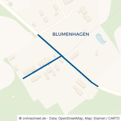 Blumenhagen 17237 Blumenholz 