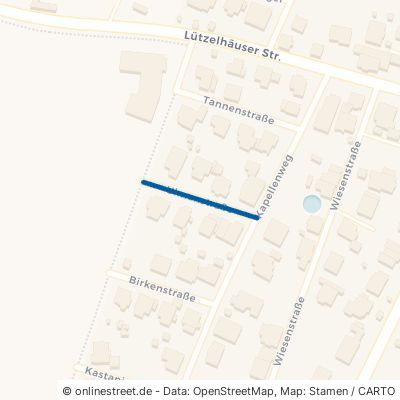 Ulmenstraße Linsengericht Großenhausen 