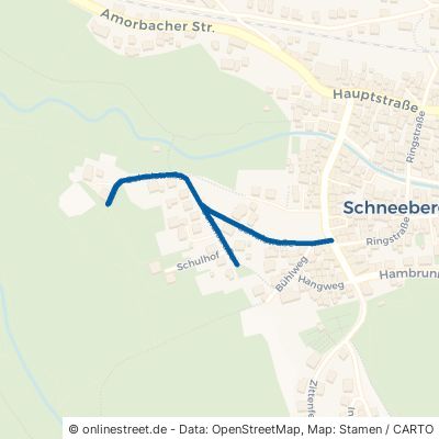Schulstraße Schneeberg 