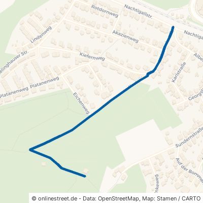 Kastanienallee Witten Bommern 