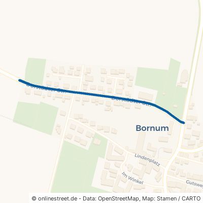 Dorstädter Straße 38312 Börßum Bornum Bornum