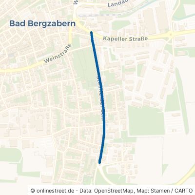 Steinfelder Straße 76887 Bad Bergzabern 