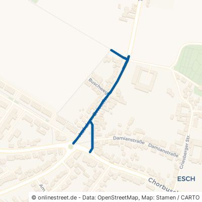 Auf dem Driesch Köln Esch/Auweiler 