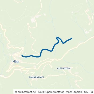Felchgrabenweg Häg-Ehrsberg Häg 