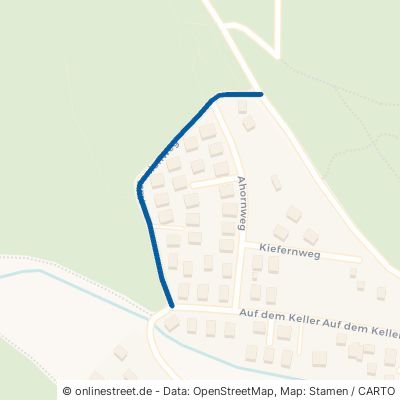 Kastanienweg Dautphetal Holzhausen 