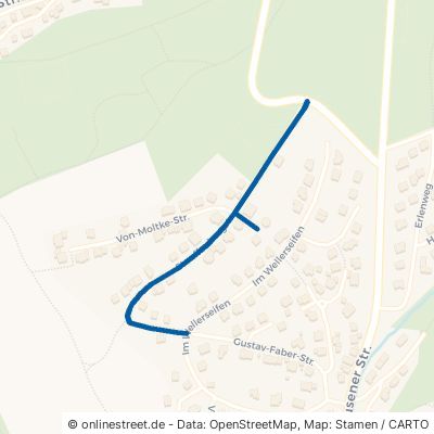 Stauffenbergstraße 57250 Netphen 