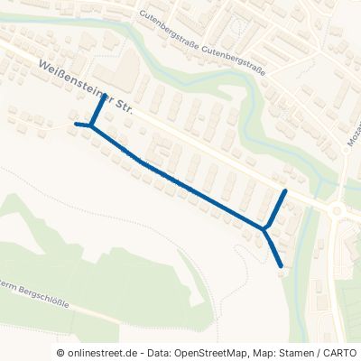 Dominikus-Debler-Straße 73525 Schwäbisch Gmünd 
