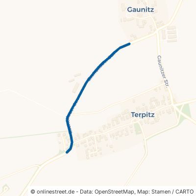Zschöllauer Straße Liebschützberg Terpitz 