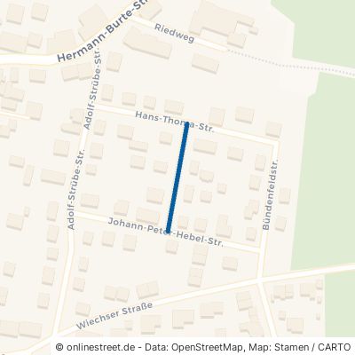 Albert-Schweitzer-Straße 79689 Maulburg 