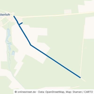 Theerhofer Weg Südheide Lutterloh 