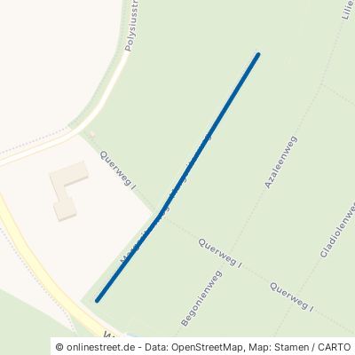 Margeritenweg Dessau-Roßlau Törten 