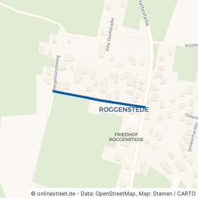 Wiesenstraße Dornum Roggenstede 