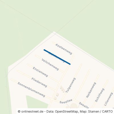 Dahlienweg Schönebeck Plötzky 