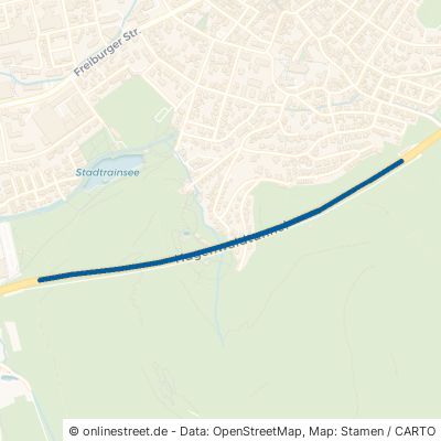 Hugenwaldtunnel 79183 Waldkirch 
