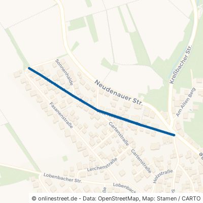 Alte Neudenauer Straße 74196 Neuenstadt am Kocher Stein 