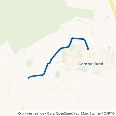 De Gröne Weg Bollingstedt Gammellund 