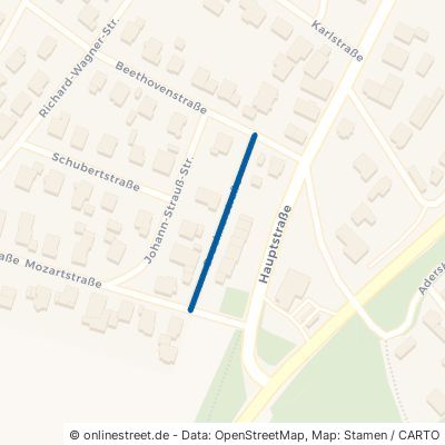 Brucknerstraße 74915 Waibstadt 