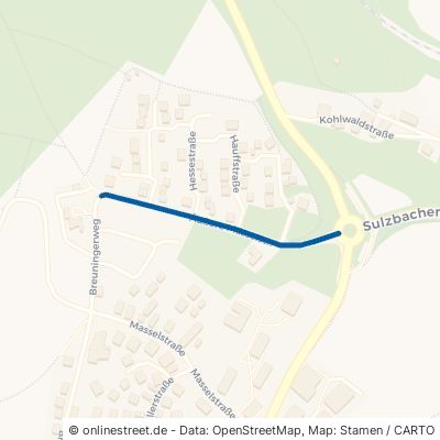 Äußere Masselstraße Loßburg Rodt 