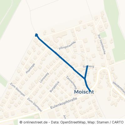 Eichgarten Marburg Moischt 