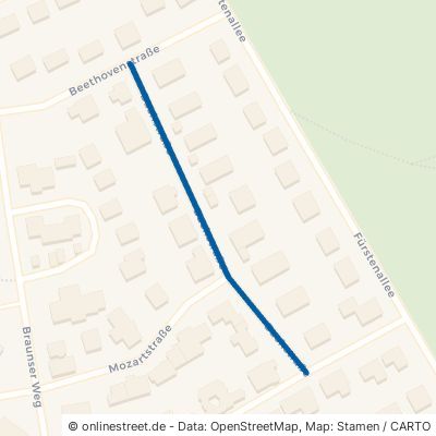Bachstraße 34454 Bad Arolsen 
