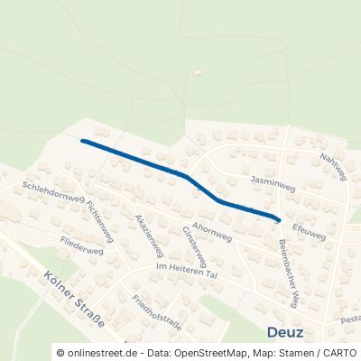 Kiefernweg Netphen Deuz 