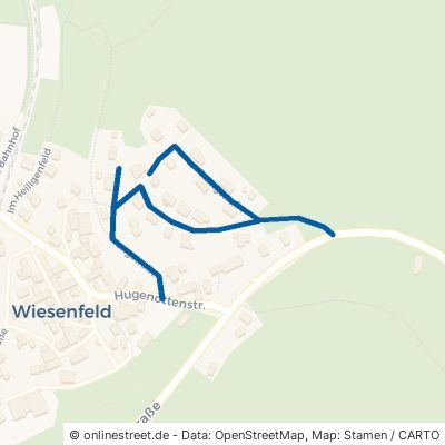 Hangstraße Burgwald Wiesenfeld 