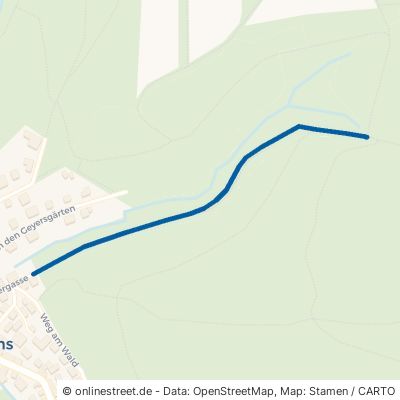 Seelenbergweg Waldems Wüstems 
