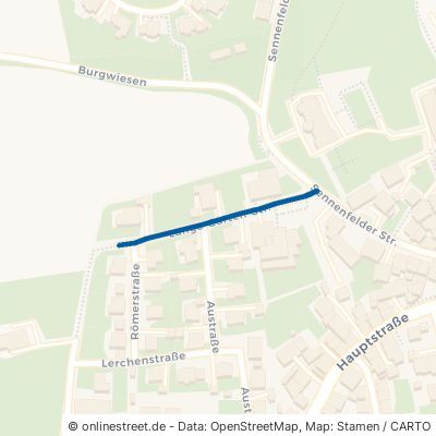 Lange-Garten-Straße 74249 Jagsthausen 