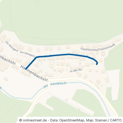 Neue Straße Hahnenbach 