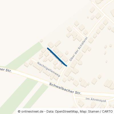 Drosselweg 66773 Schwalbach Sprengen Elm