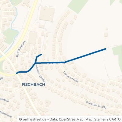Grüner Weg 65779 Kelkheim (Taunus) Fischbach Fischbach