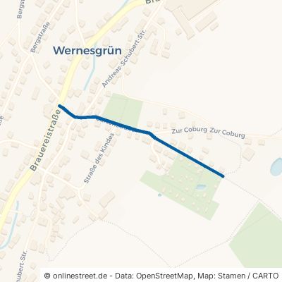 Gartenstraße Steinberg Wernesgrün 