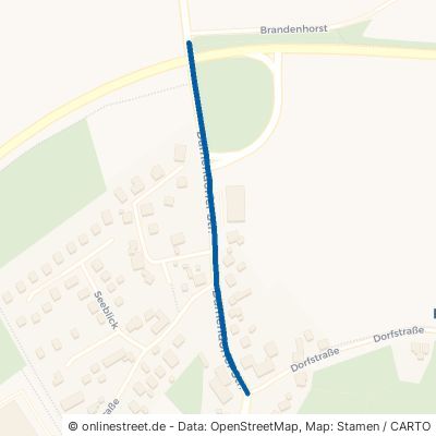 Damendorfer Straße 24361 Groß Wittensee 