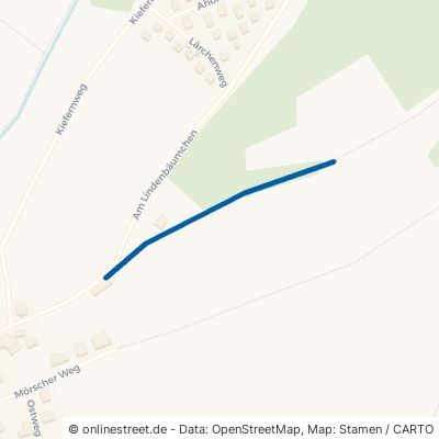 Binsförther Weg Knüllwald Niederbeisheim 