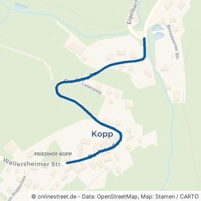 Dorfstraße Kopp 