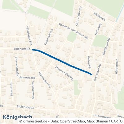 Albert-Schweitzer-Straße Königsbach-Stein Königsbach 