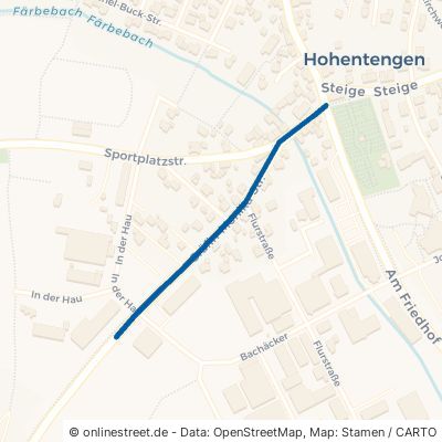 Gräfin-Monika-Straße Hohentengen Ortsbereich 