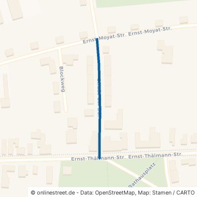 Straße Der Dsf Gräfenhainichen Zschornewitz 