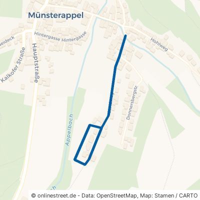 Sandweg Münsterappel 