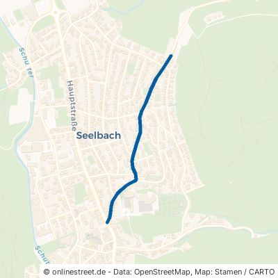 Geroldseckerstraße Seelbach 