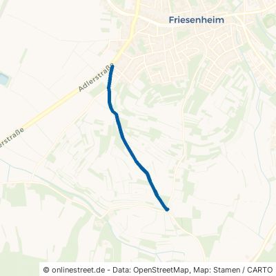 Ihlenbühlweg 77948 Friesenheim 