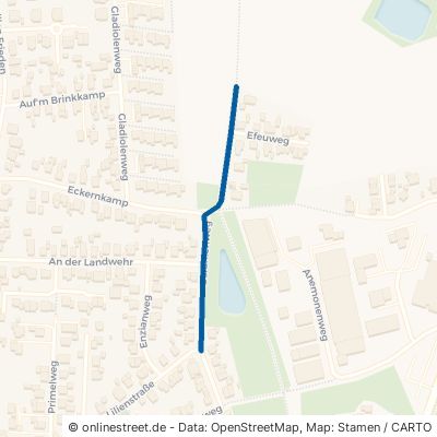 Geranienweg Gütersloh Avenwedde 