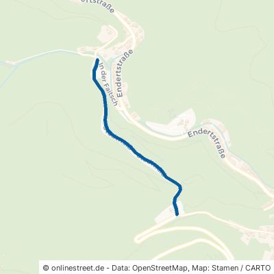 Stadtwald Cochem 