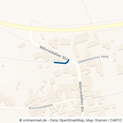 Bergweg 55278 Undenheim 