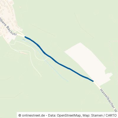 Unterer Hasselbacher Weg 65618 Selters Haintchen 