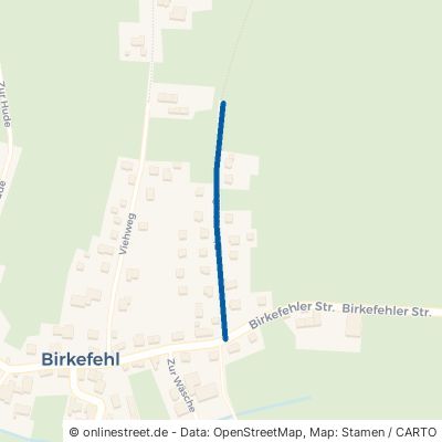 Eisenstraße 57339 Erndtebrück Birkefehl 