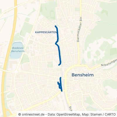Dammstraße Bensheim 
