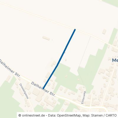 Holunderweg Marsberg Meerhof 